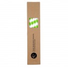 10 Pack Biodegradable Paper Straws in Box (0.8cm dia.)