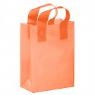 Color Frosted Soft Loop Shopper Bag with Insert - Flexo Ink