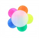 Flower Multi-Color Highlighter